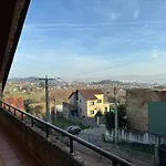 As Mimosas *