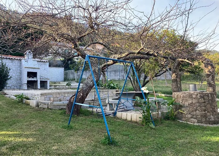 As Mimosas קנגס דה מוראסו